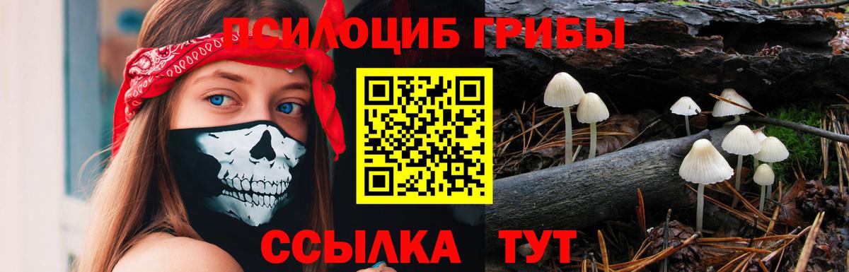 Галлюциногенные грибы мицелий Коркино