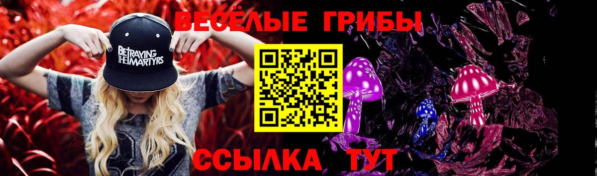 Галлюциногенные грибы MAGIC MUSHROOMS  Вход с VPN  Галлюциногенные грибы GOLDEN TEACHER  Коркино 